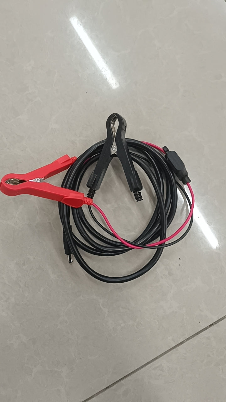 Power cord with alligator clip