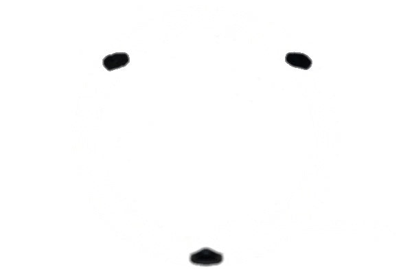 O-prsten kućišta filtra razdjeljivača Fermo/Duro